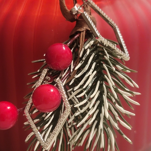 NIB Hoop Earrings Adornia - Picture 7 of 13